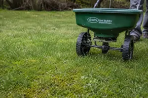 Cómo eliminar el musgo del césped